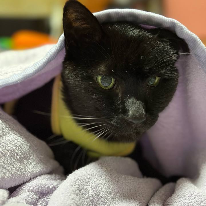 76144c9a 5ebd 45c2 b3a0 3f80c16125c1 1714874520489