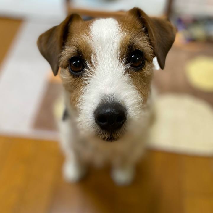 7614ce7a b5a5 4c77 b051 2aea6322897a 1738541584950