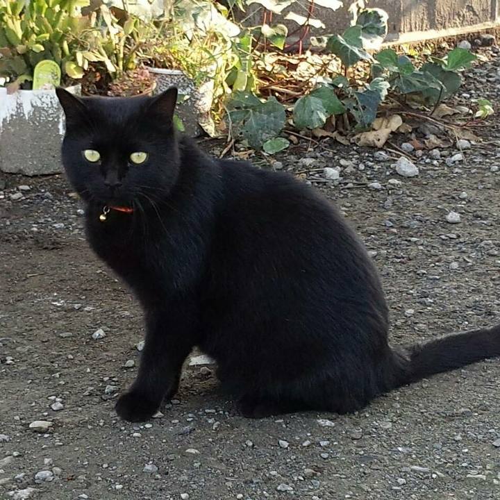 7614d29a 1d4c 4e31 b337 129da79ab227 1510632638008