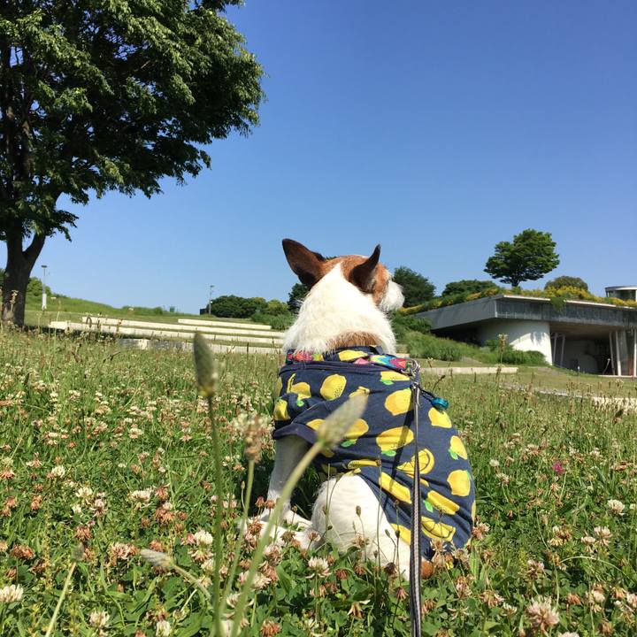 7614d2d1 d3b1 4a38 910a 6327708814d1 1653781007670