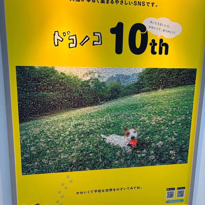 7614e6ce a59b 4c3e b7dd 4ca488b3176c 1780828704222