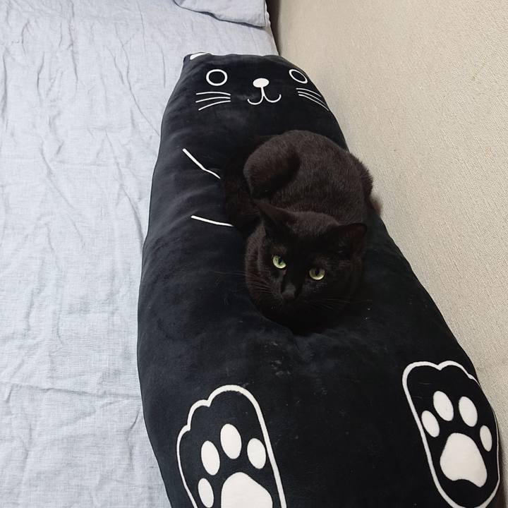 76152f94 8afc 46e0 8514 1413f6598290 1631916474037