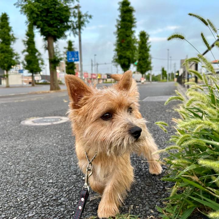 7615dae0 2ecd 4d7f 879f f926dfb740e6 1721958431763