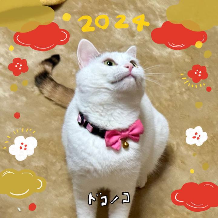7615e810 03e0 4684 bcd2 531ef5ddefad 1704073290536