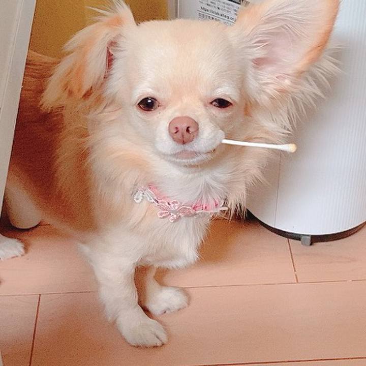 76162ad7 ef9c 48b7 8a01 d5a9685a53b9 1618714949148