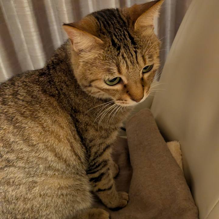 76163a70 ef4f 4123 bf3b 0f00867c95af 1770330848464