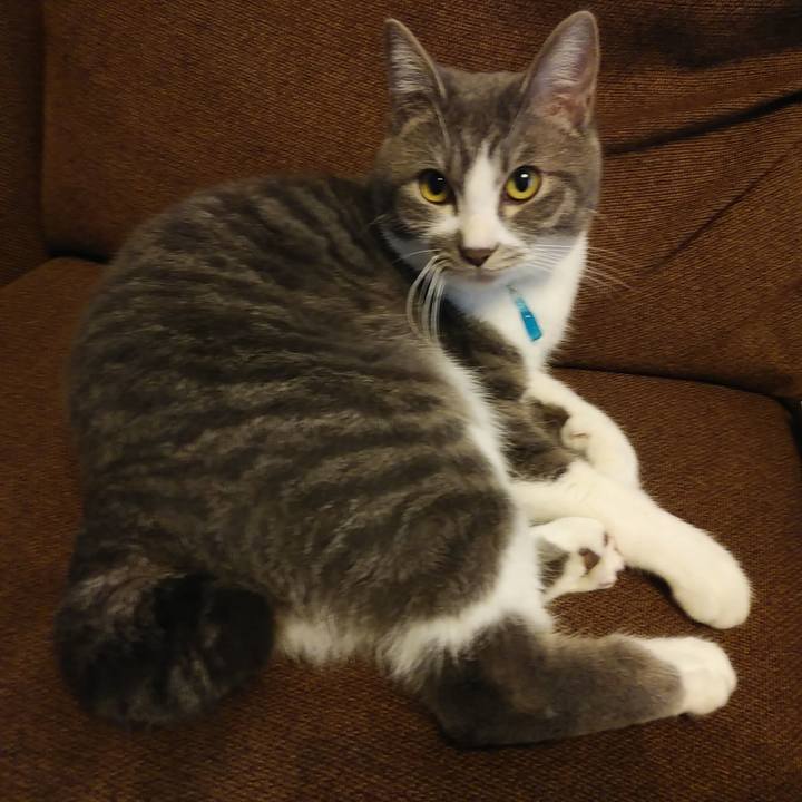 7616784e 67e9 4960 b84b 5cd729aaf2b7 1580100290910