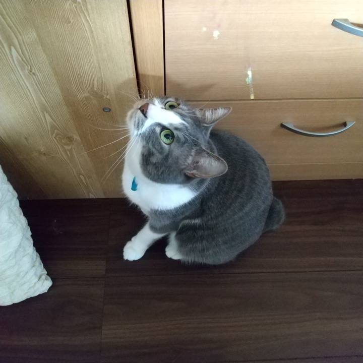 76170637 83d6 4136 82ef a0a81907f99d 1650639770350