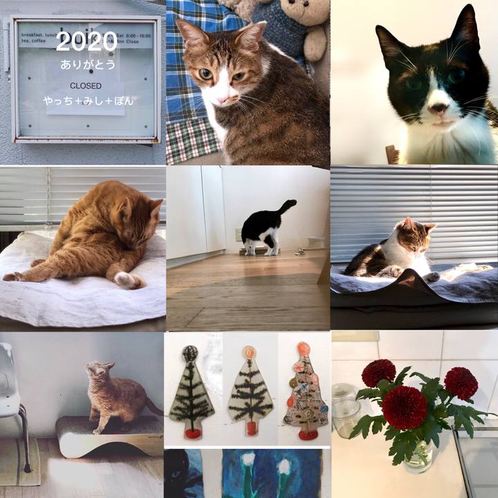 761720d9 46d2 4809 8712 91288eab568a 1609398420026