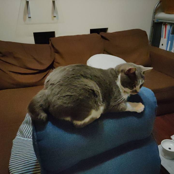 761721f4 35a3 4e22 9c1d 921af33362b8 1682606024538