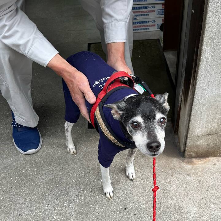 761797c8 c76d 42c0 b30b 557a5727c236 1652046179157