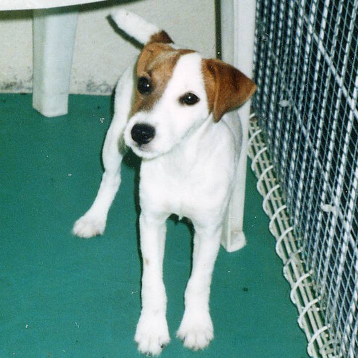 7617f86a 5f5f 4104 9953 426f2237587d 1626247302491