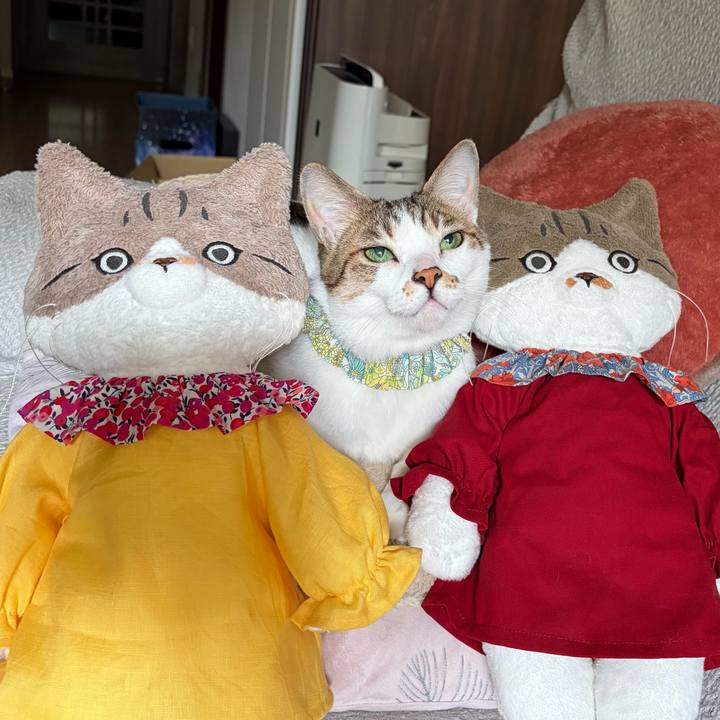 76180349 c9c9 473f 84a7 8ca8d053771e 1773885648833