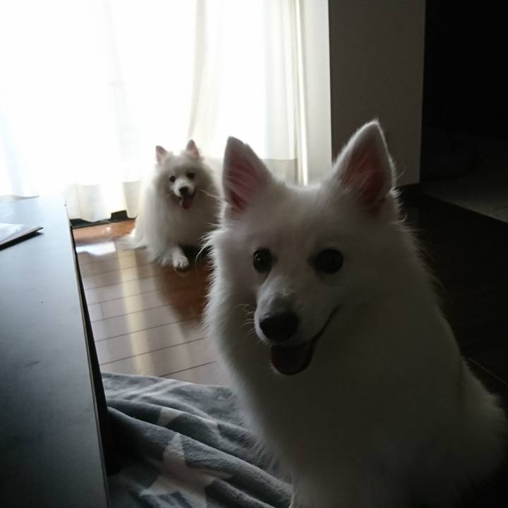 7618151f a866 4edb 8b7a 3884382a1d6e 1601537640091