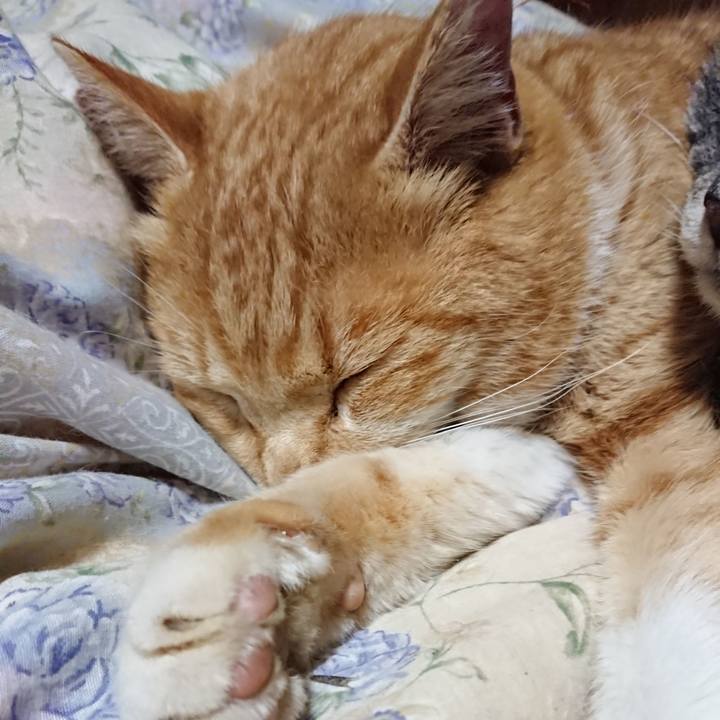 76181b33 8795 4d5d 9c07 3a8b5066bbba 1579354269229