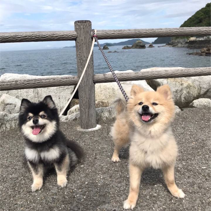 76182167 d88a 433b bf68 41543a13d2f6 1593351280451