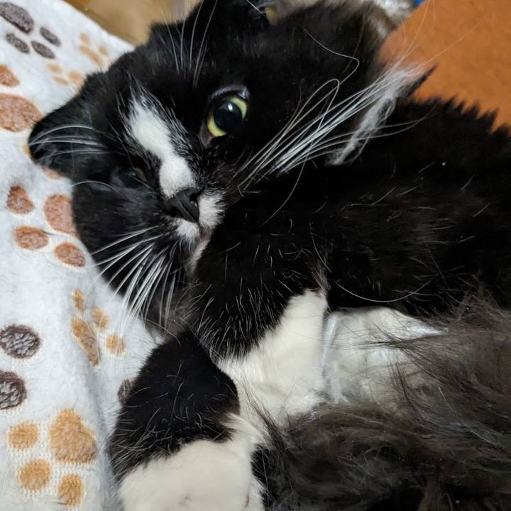 76182f34 b4ee 4b08 8945 ef2fd40a8752 1700756517687