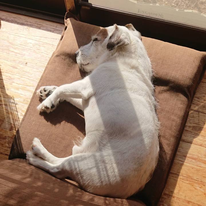 76182f41 e475 4a56 859f f48838ebc749 1541112745385