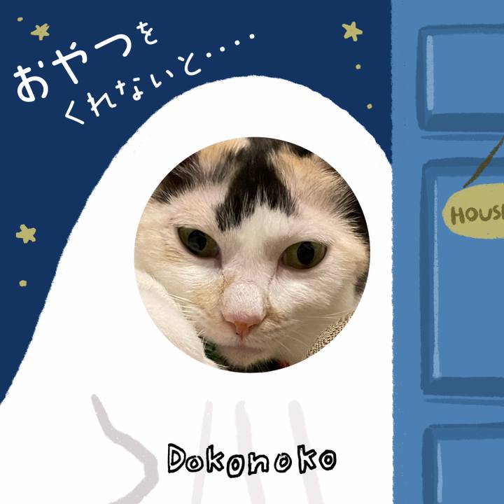 76186006 0af0 441d b3b2 d37ed6efe555 1729056141916