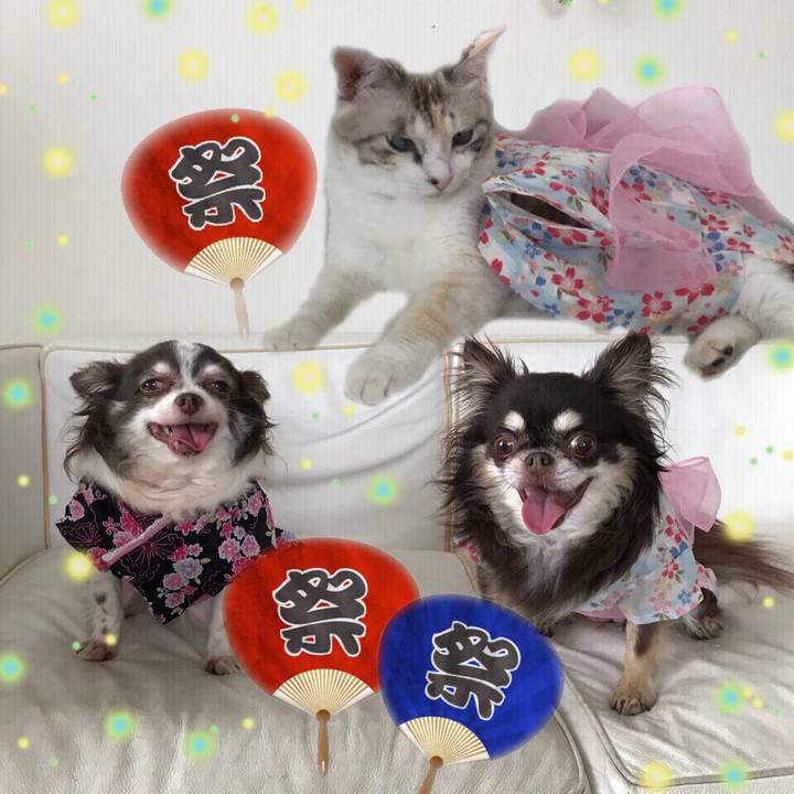 761874ba 1acd 4586 84a4 8334eaeb6d8f 1535245554858