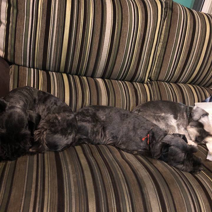 76187f10 c655 4f40 98dc 0d5e28a69b7c 1547978392298