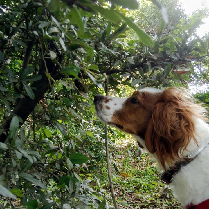 76187f12 8759 47b7 95a0 df8618b2eb02 1535110156104