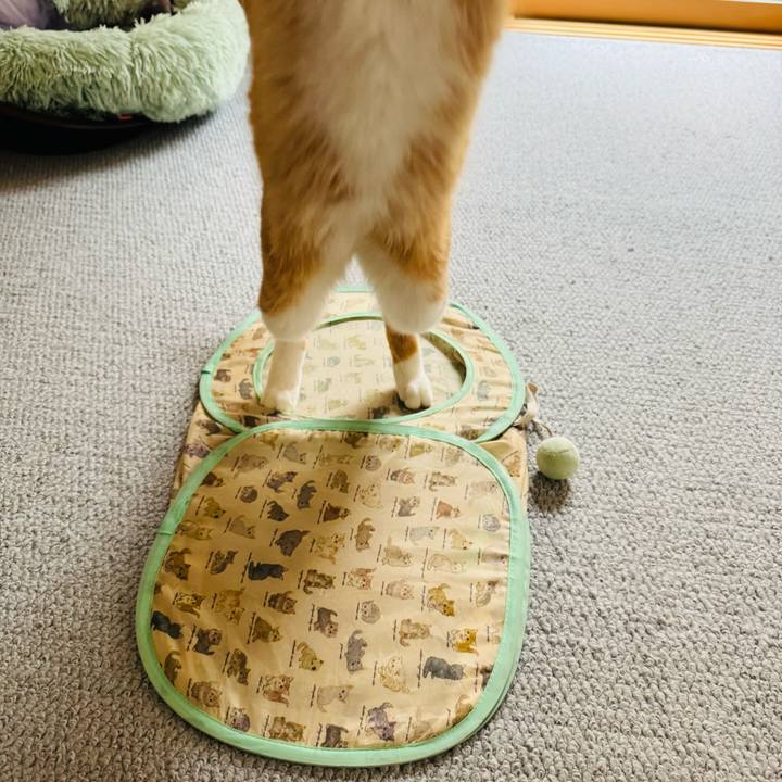 76188338 7424 4539 809a 8c24d139df79 1757559024693