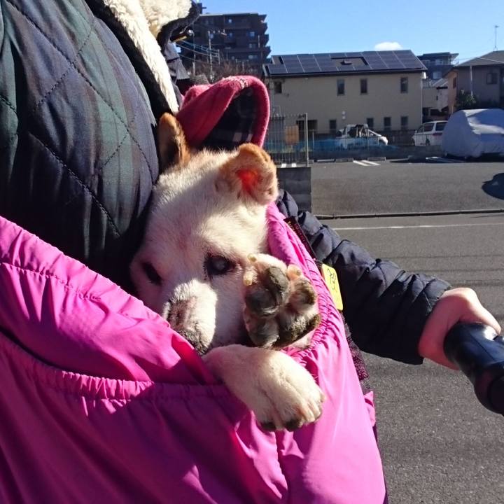 7618b45a 8c1d 4b0b abdb 9b8d0c03a366 1546050494202