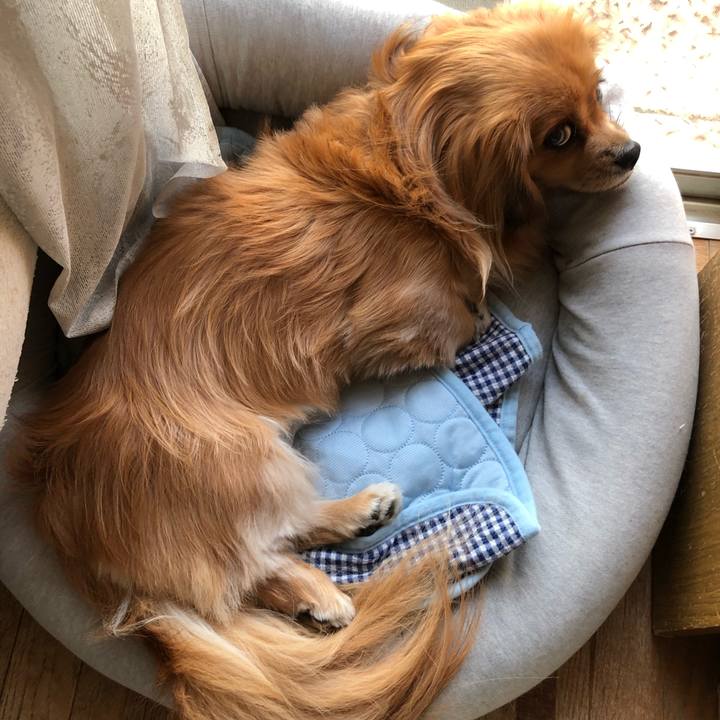 7618dd5d 634c 43dd a06c bbdace6954a9 1569448636149