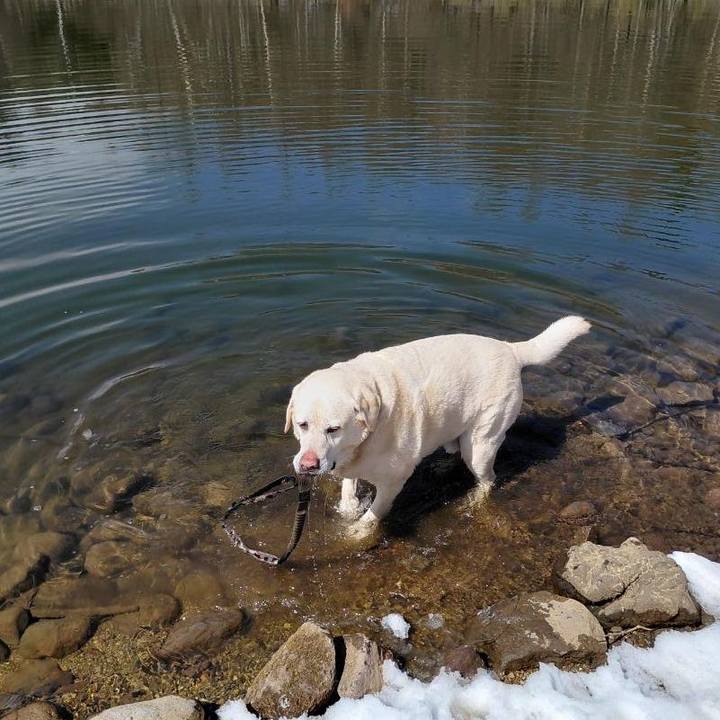 7618f274 2e52 4242 a2c7 02a2d4078d59 1773561272665