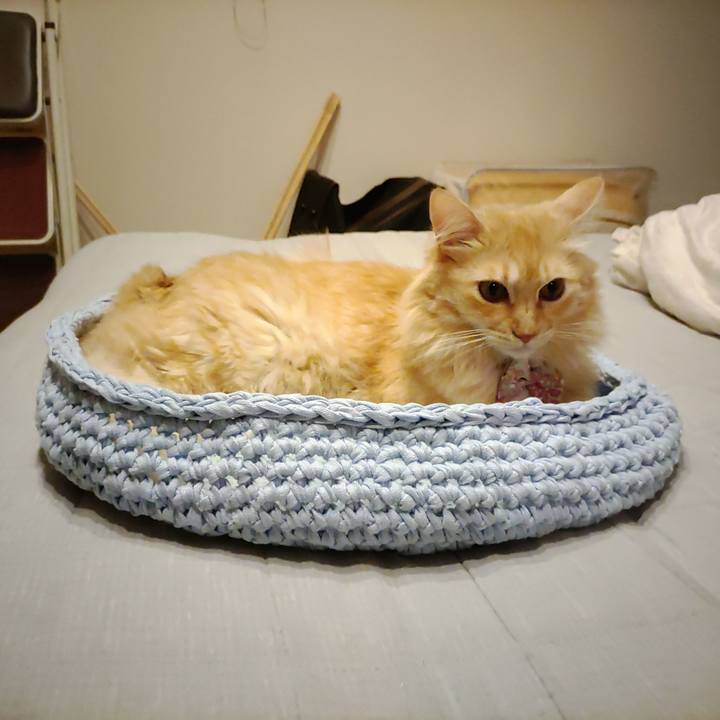 76192adf 6aad 4125 bc8e 37641016dc59 1662889582014