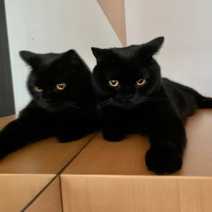 76193533 9998 4ba6 935a 604c4fea59fe 1597274455350