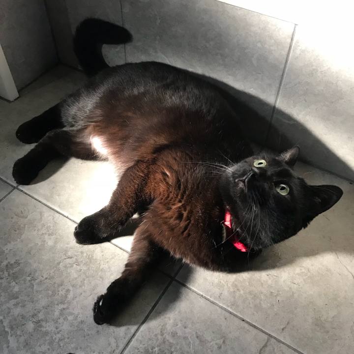 761964b3 6283 45e1 b5a8 41d5b07d43bc 1552114280803