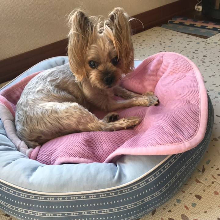 761985cf 7108 44c7 8226 c40f0e787904 1688550724081