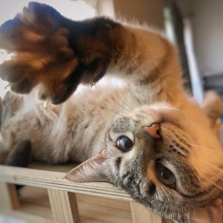 76199118 eb67 4db7 af89 236133b494f2 1755075923333