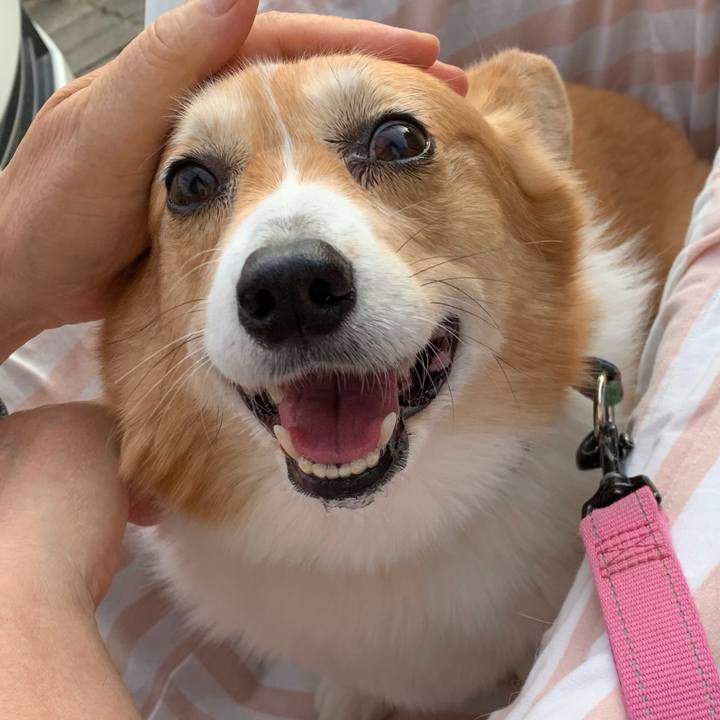 761995f6 a8b7 4b3b a92d 6c9ed02748fc 1713000348960