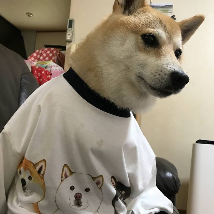 7619bb91 3772 42dc 8cb9 ac5342335d34 1529645396123