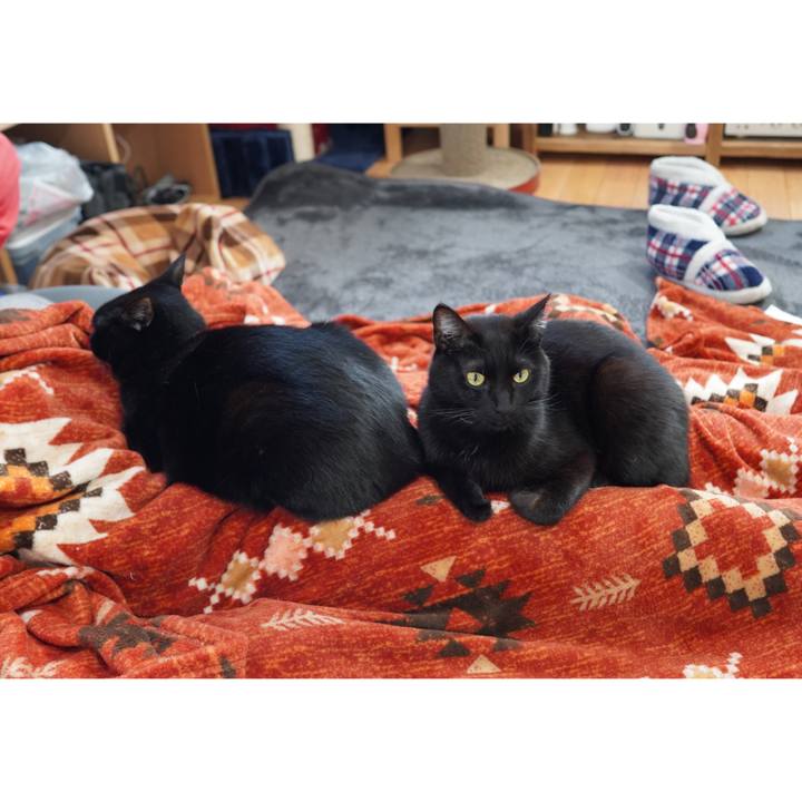 7619c5d8 6425 4d38 a834 407b77b59556 1612670700266