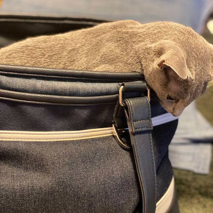 7619d76a b2d2 41cc a7c0 bbafe30f2d12 1597828626462