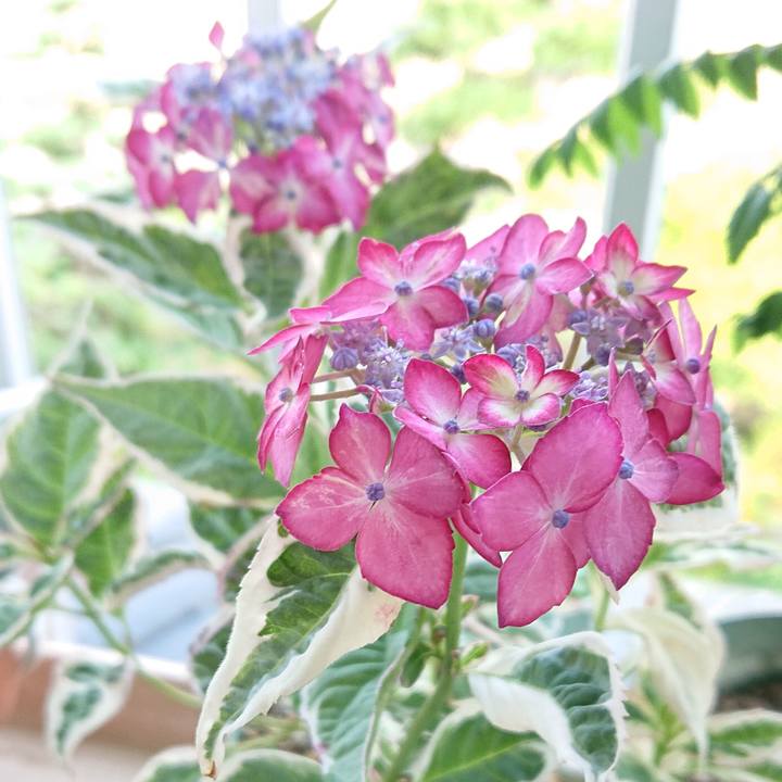 7619e59f 84e7 434a bbae 6ea61b0b2d2a 1653397932287