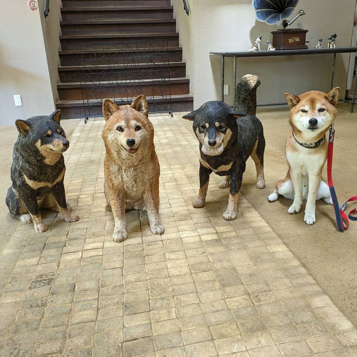 7619ff6c 628a 4692 87f1 fa57184a8117 1715700675706