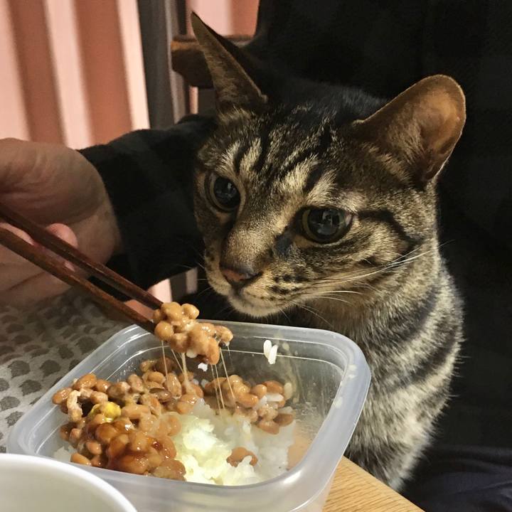 761a0ccf 26f3 42e7 9103 b0334a750c95 1578211741690