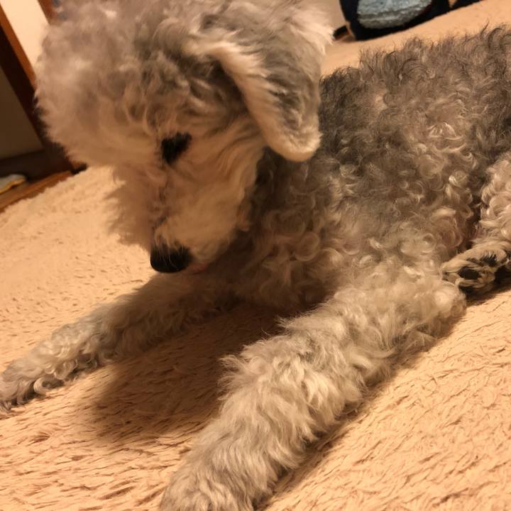 761a41b1 1cfe 436e 97f0 25caa03a423a 1607265494450