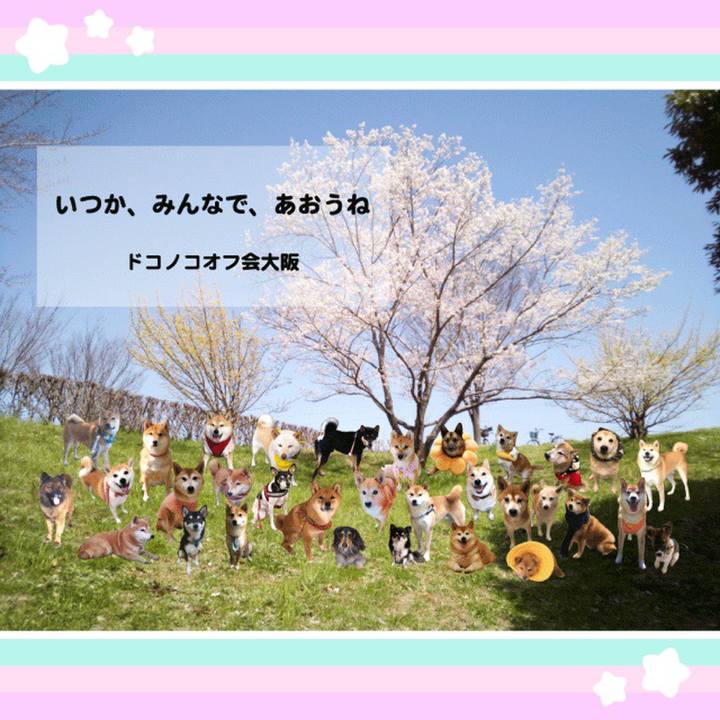 761a63f0 e6f4 458a 89c3 13741145bb7b 1586823905767