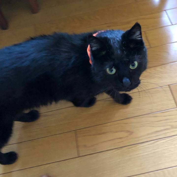 761a6dc1 37eb 4494 88c6 d14943ece0c4 1570342034672