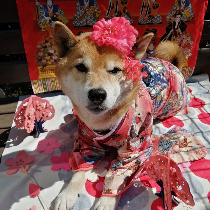 761a7b1e ef5b 4ef8 9d40 a171b84b344f 1677488051425