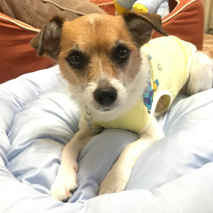 761aa596 71fe 4b84 b6ef 8ecfcf7de7a4 1531810325239