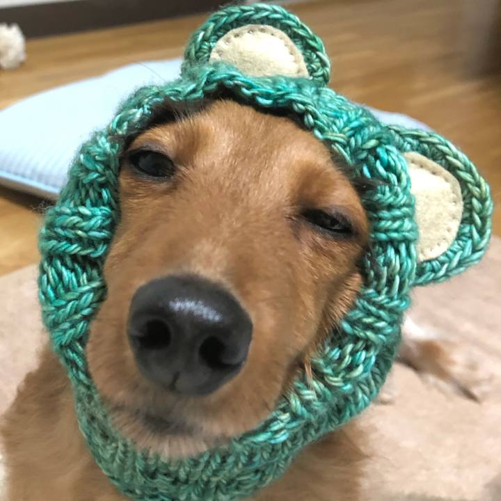 761aa7fb abd2 41a1 853a 0c0b5d37e351 1546082574083