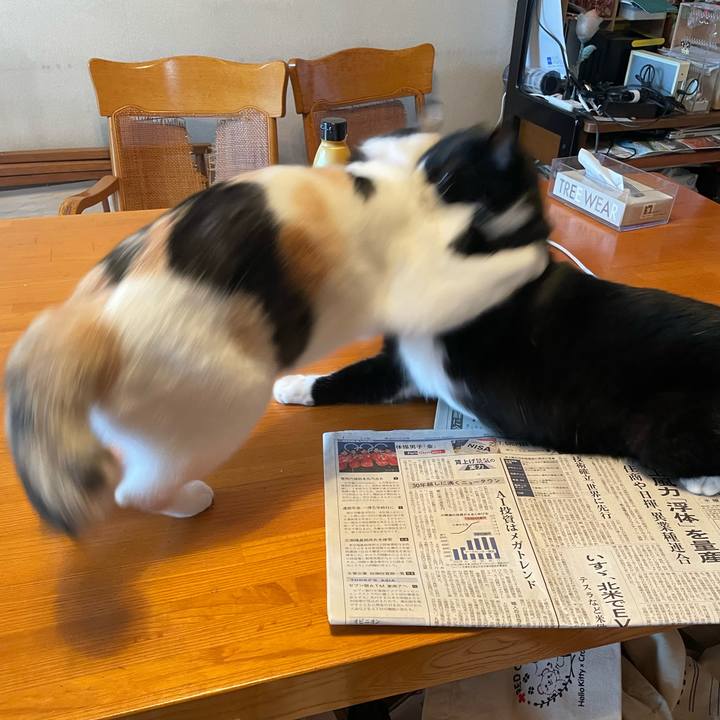 761ab28a ae08 4daf 84a0 a7217aaa6c2a 1722402289547