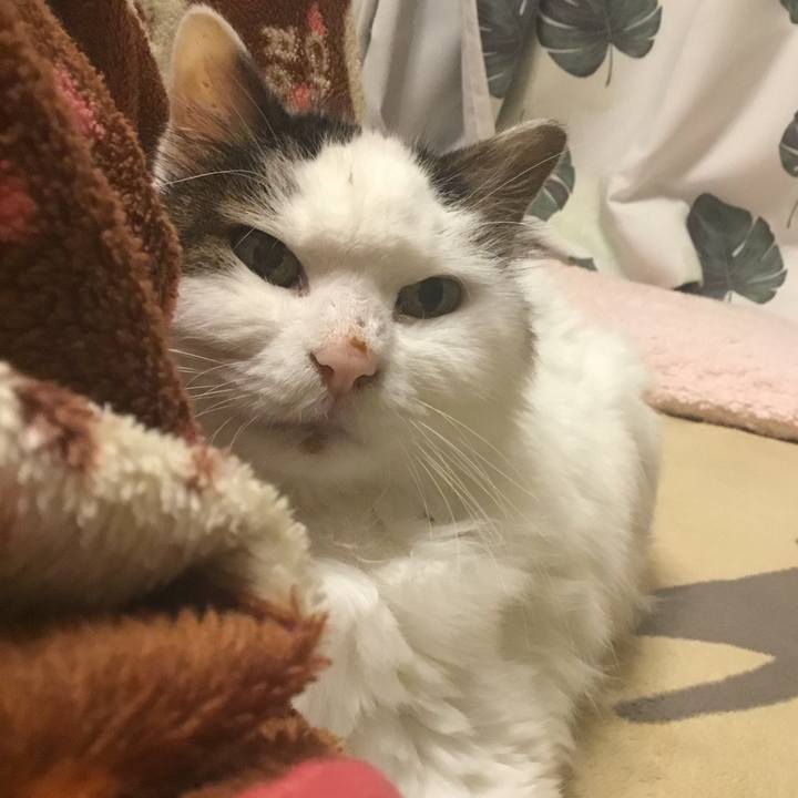 761ab376 f5b3 4721 98d6 6f114b705e6c 1579262297471